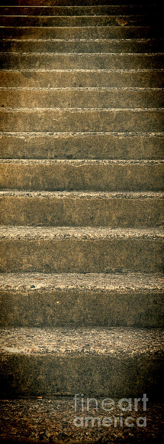 Steps Into Mystery Photograph by Les Palenik