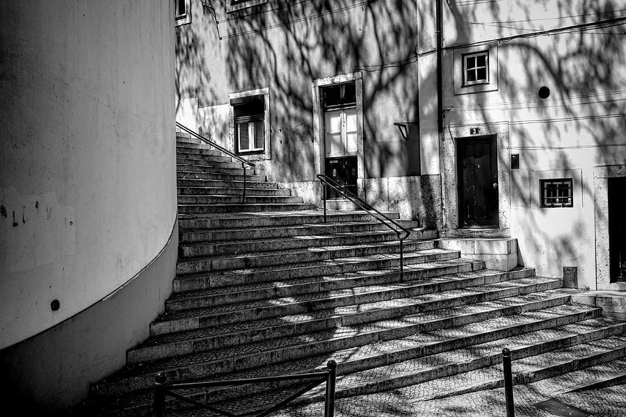 Steps Photograph by Lucinda Walter
