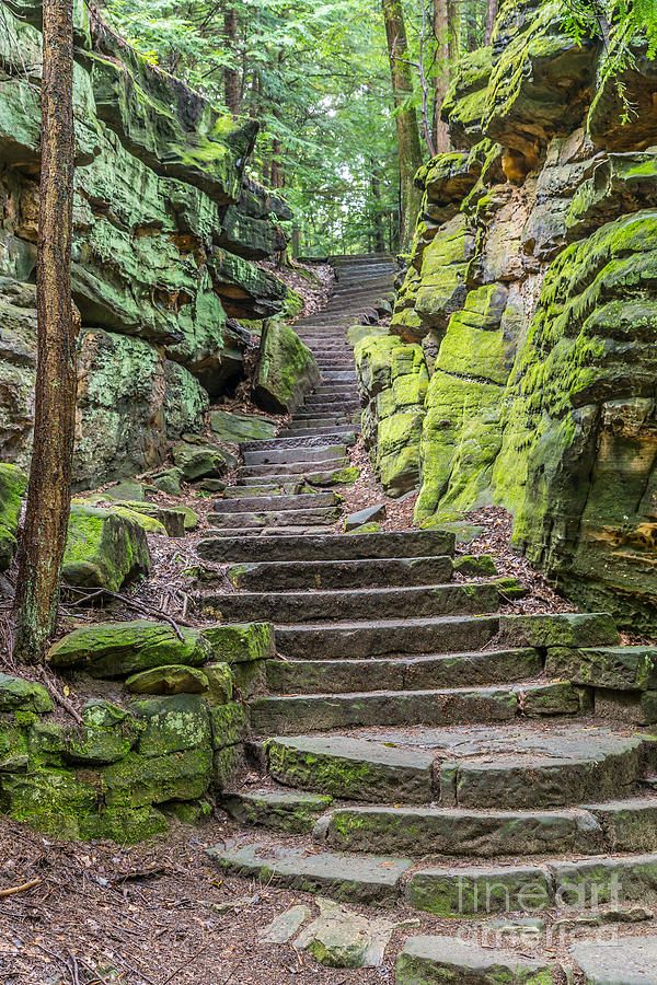 Steps Photograph by Patrick Shupert | Pixels