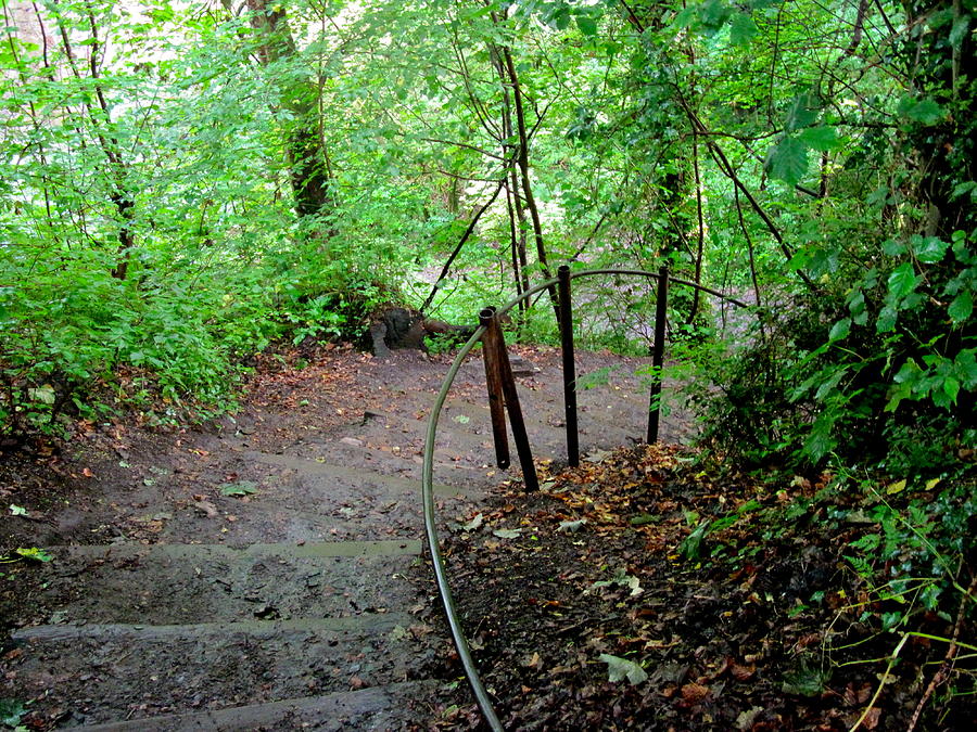 Steps Through Roslin Glen Photograph by Denise Mazzocco