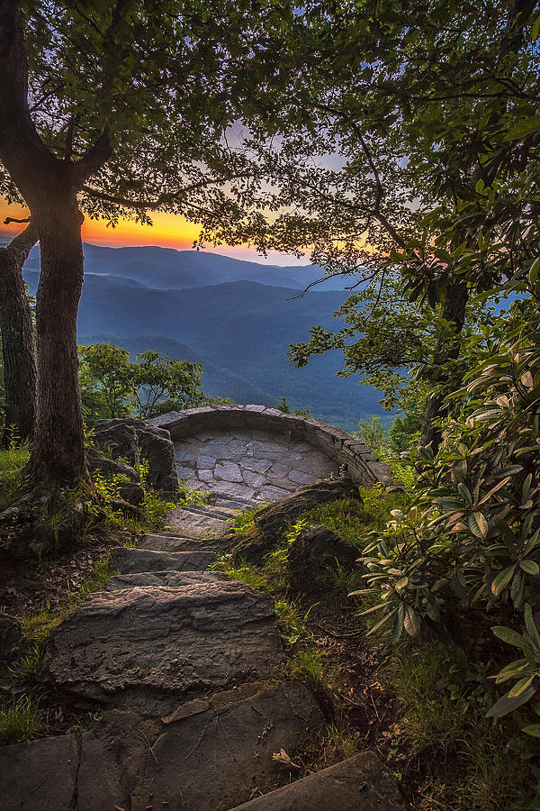 Nature Photograph - Steps to a View by Andrew Soundarajan