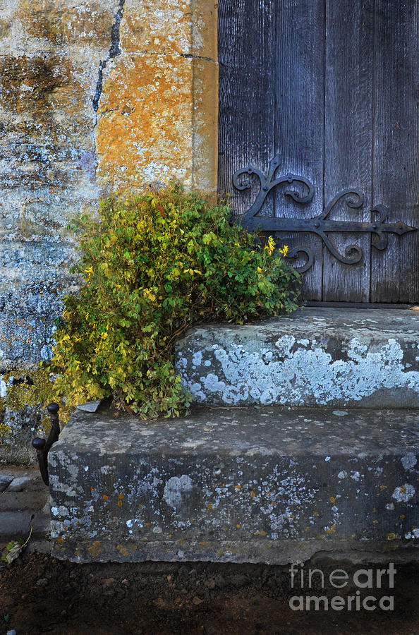 Steps to Church Door Photograph by Jill Battaglia