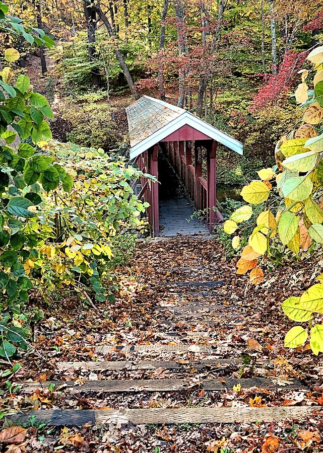 Steps to Covered Bridge Photograph by Janice Drew