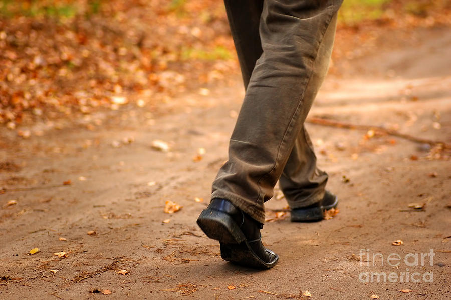 Steps to happy autumn Photograph by Michal Bednarek - Pixels