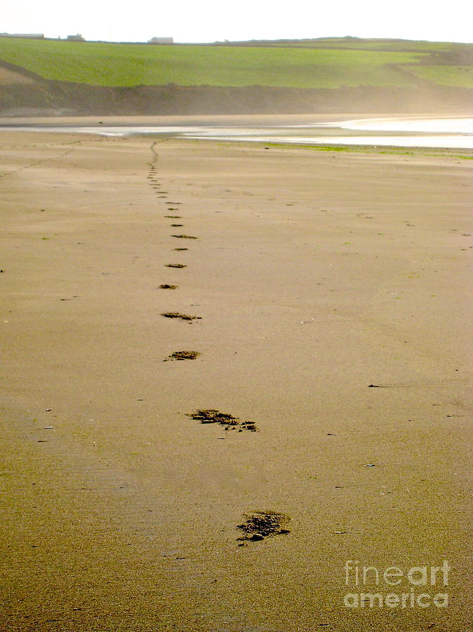 Steps to Inchydoney Photograph by Suzanne Oesterling