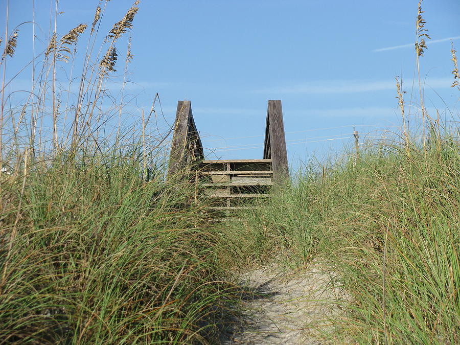 Steps to the Beach Photograph by Ellen Meakin