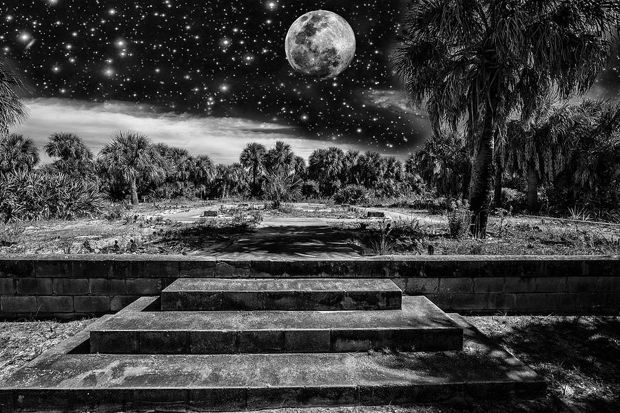 Steps To The Moon Photograph by Kevin Cable