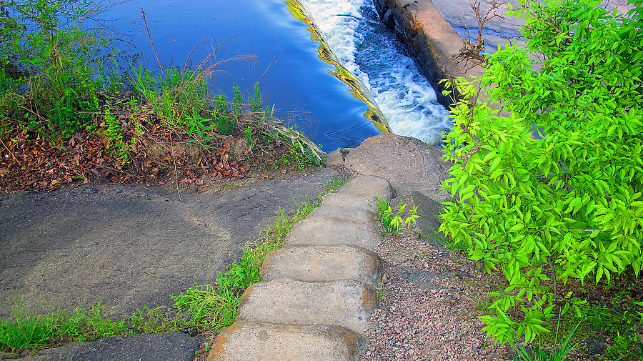 Tree Photograph - Steps to waterfall by Dulce Levitz