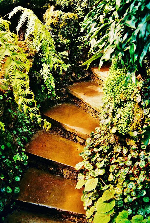 Steps    Up and to the right Photograph by Daniel Thompson