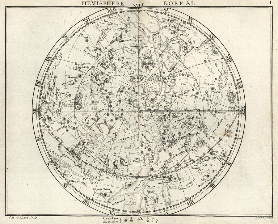 Sign Photograph - Stereographic Northern Hemisphere, 1687 by U.S. Naval Observatory Library