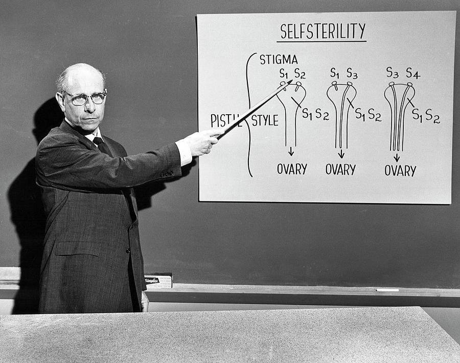 University Of Rochester Photograph - Stern Lectures On Self-sterility by American Philosophical Society