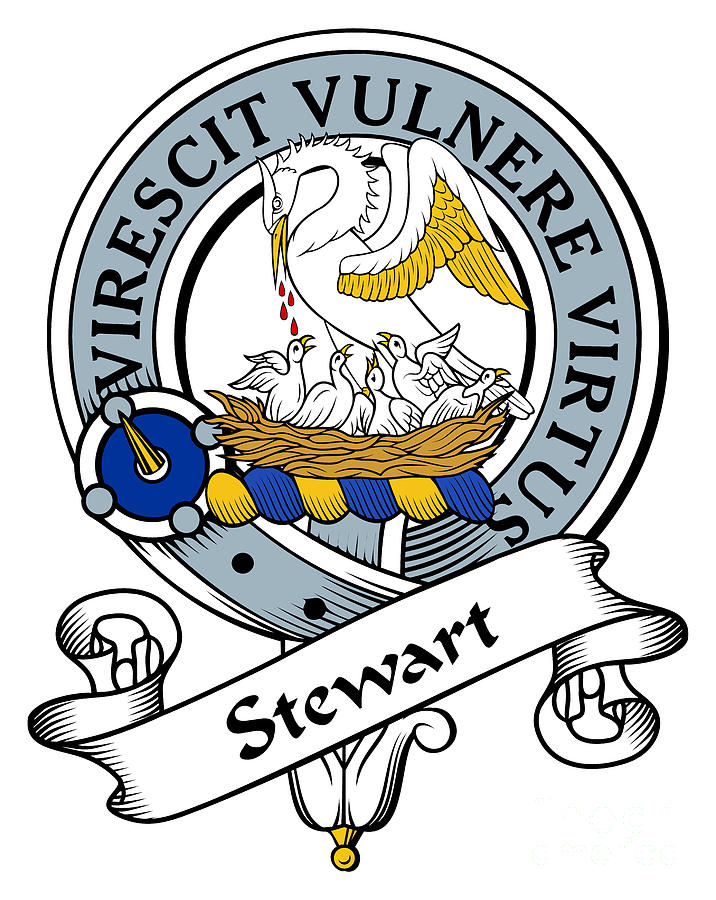 Clan Johnstone in America  Here is a Johnston badge tattoo showing Stewart  Johnstons Clan pride Stewart lives in Saskatchewan Canada  Facebook