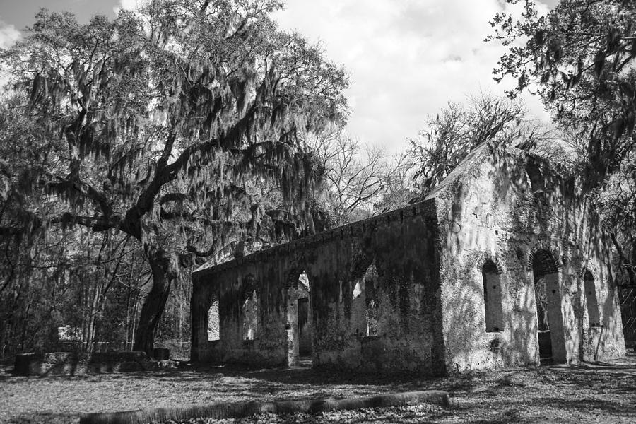 Tree Photograph - St.Helena Chapel of Ease BW 1 by Steven  Taylor