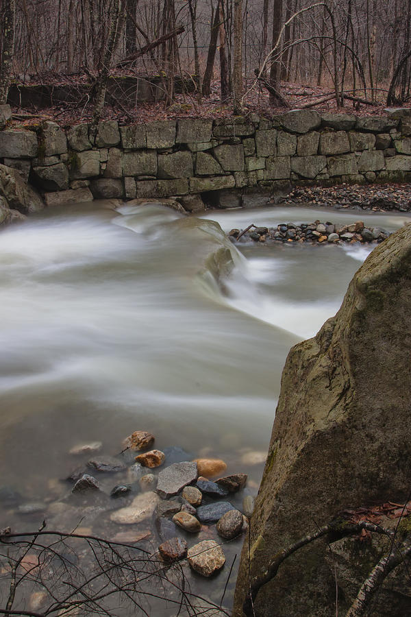 Stickney Brook IV Photograph by Tom Singleton