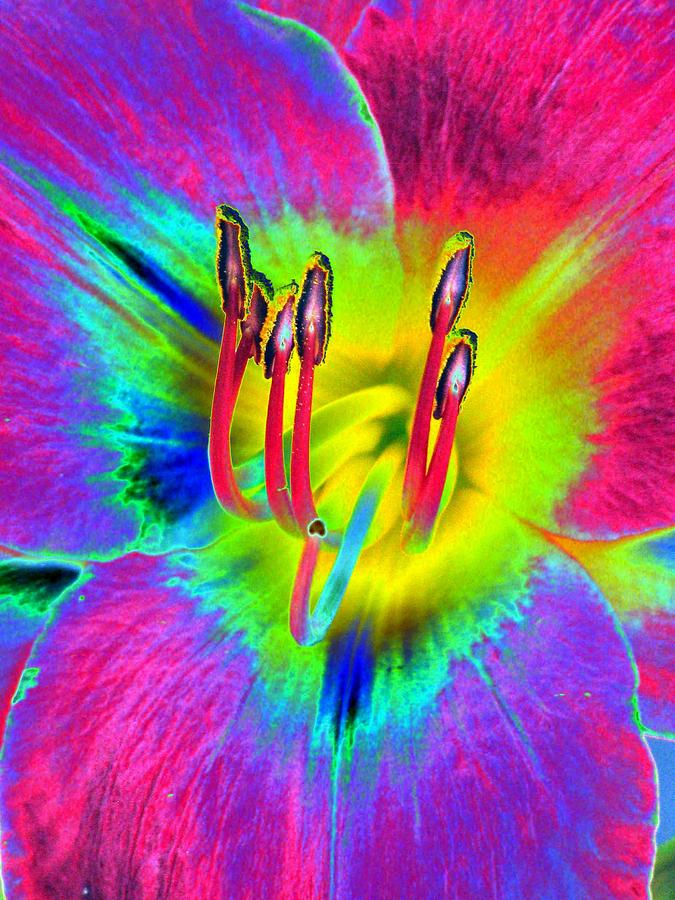 Flower Photograph - Stigma - PhotoPower 1187 by Pamela Critchlow