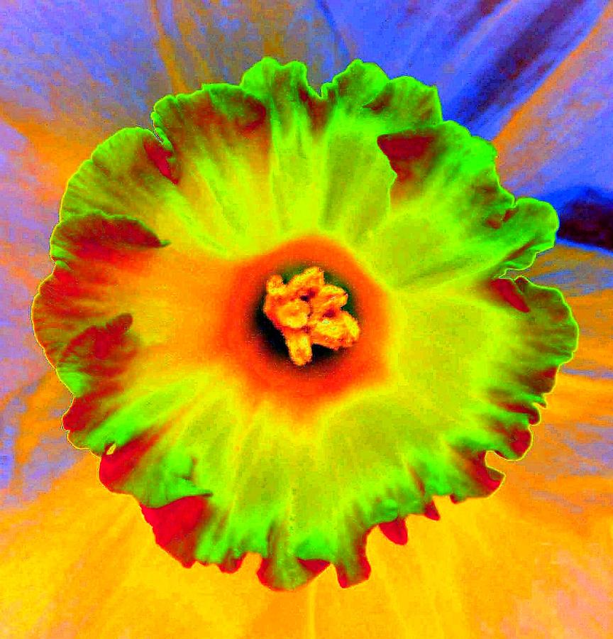 Flower Photograph - Stigma - PhotoPower 176 by Pamela Critchlow