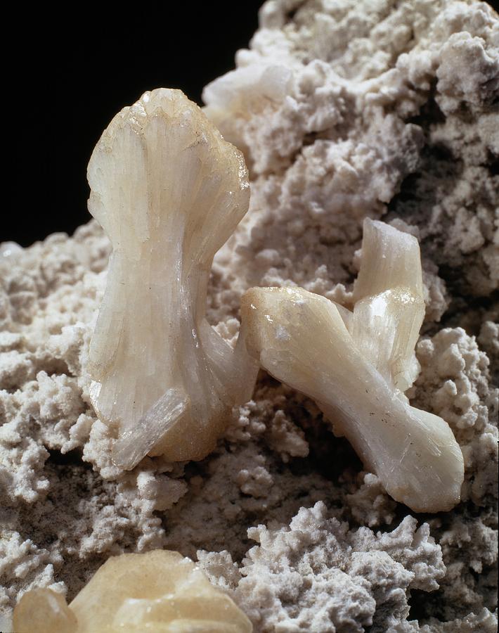 London Photograph - Stilbite Crystals by Natural History Museum, London/science Photo Library