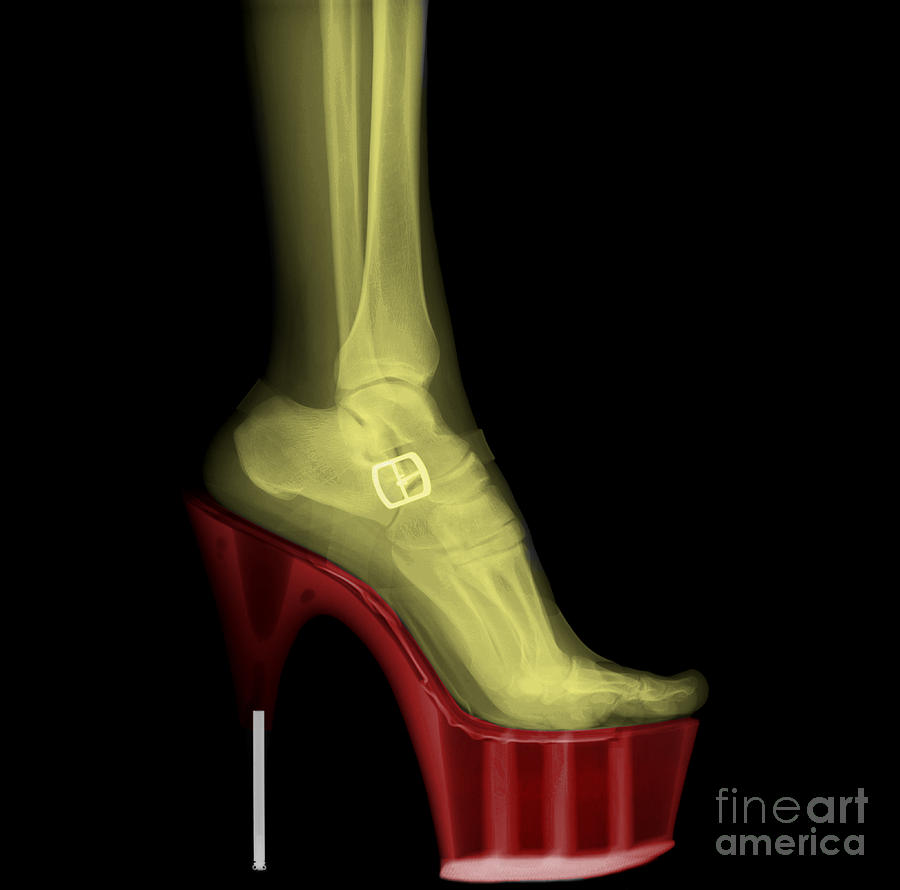 Stiletto High-Heeled Shoe Photograph by Guy Viner