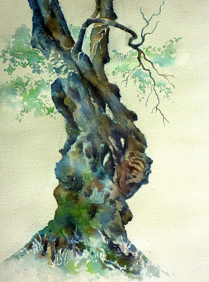 Olive Tree Painting - Still alive by Thomas Habermann