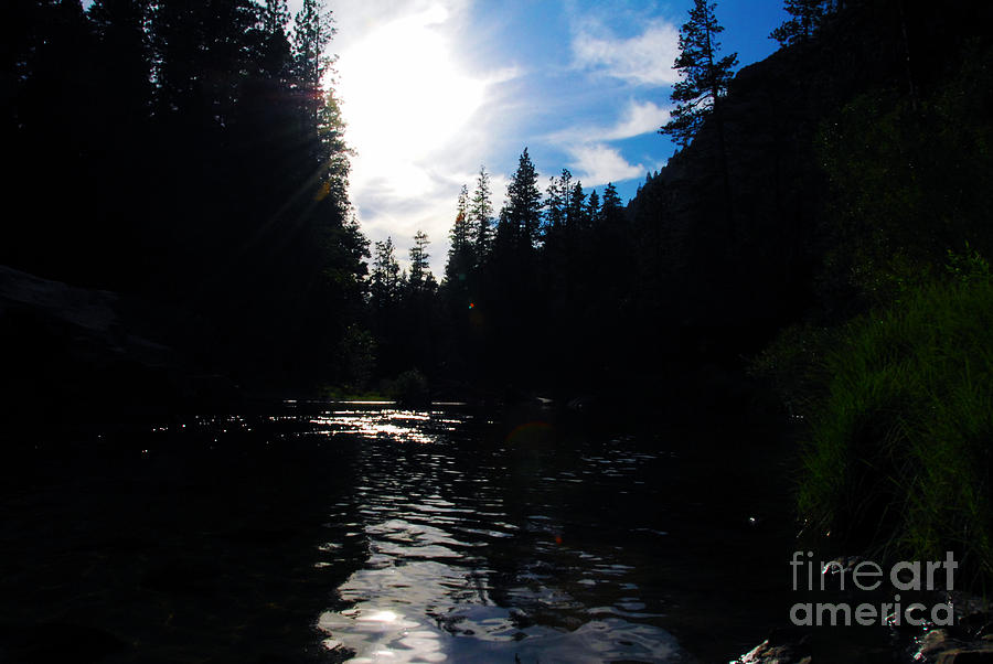 Yosemite National Park Photograph - Still by Laraine C Photography