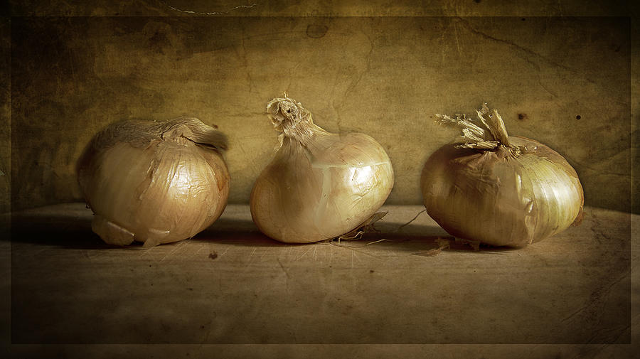 still life onion