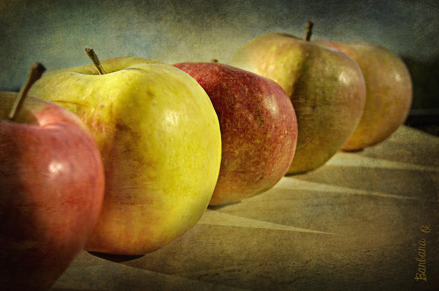 Still life - Apples Photograph by Barbara Orenya