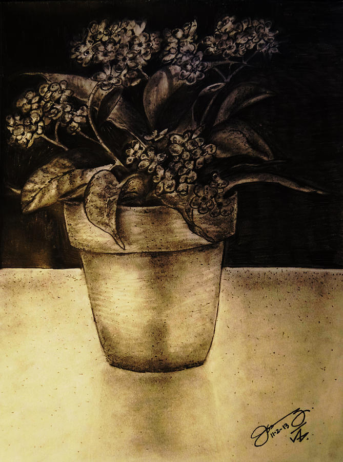 Still Life Flower Pot With Forget Me Nots Drawing