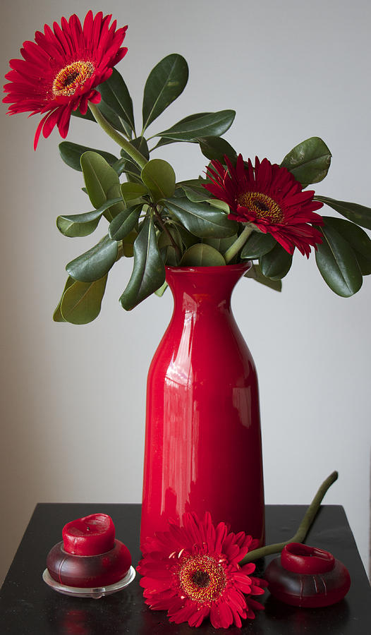 Still Life Flower Study in Red Photograph by Venetia Featherstone-Witty