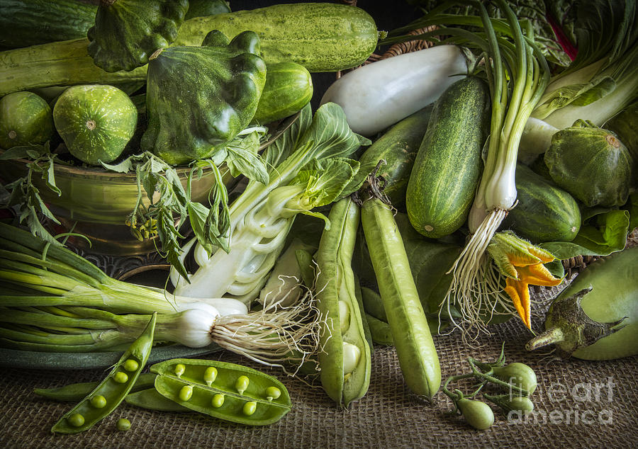 Vegetable Photograph - Still Life In Green by Elena Nosyreva