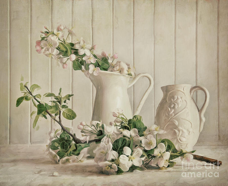 Apple blossom flowers in vase/digital painting Photograph by Sandra Cunningham