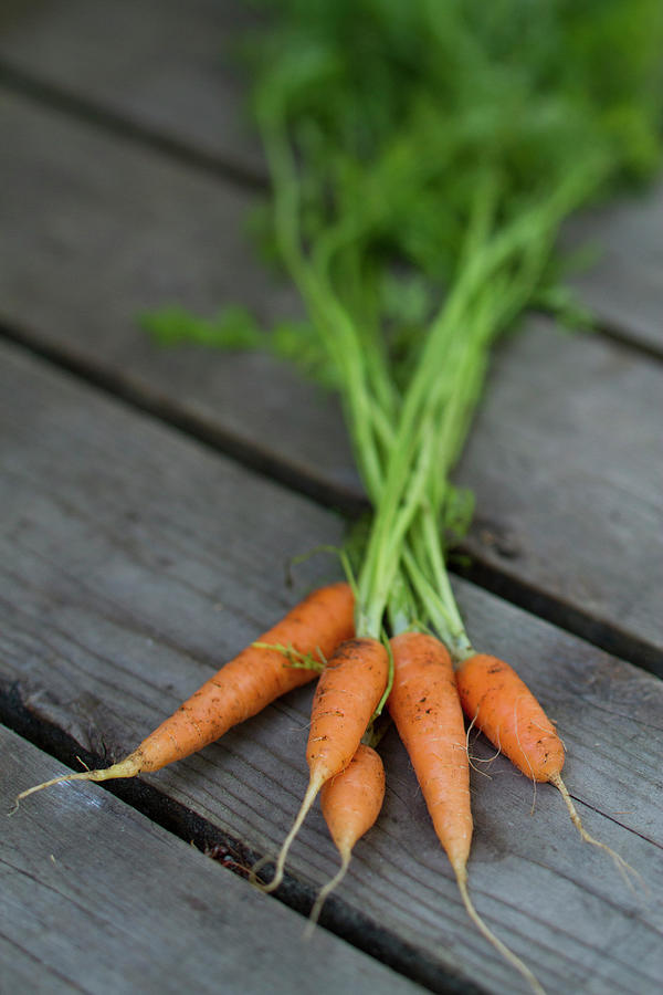 Still Life Of Carrots Photograph by Justin Bailie