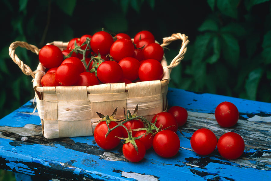 Still Life Of Cherry Tomatoes Photograph by Panoramic Images