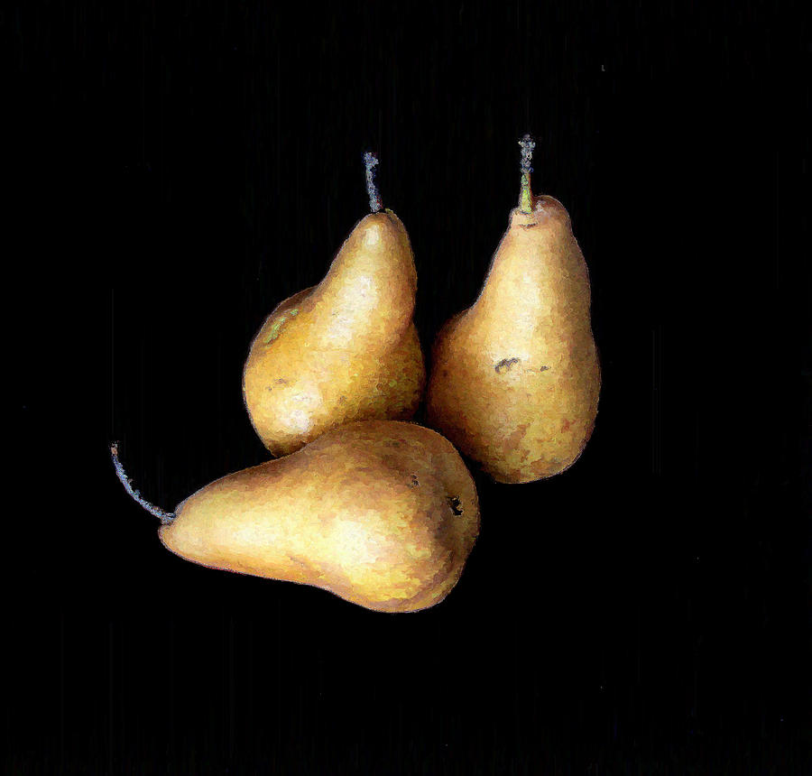 Still Life Photograph - Still Life - Three Pears by Greg Thiemeyer