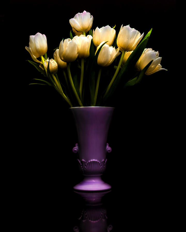 Still Life - White Tulips Photograph by Jon Woodhams