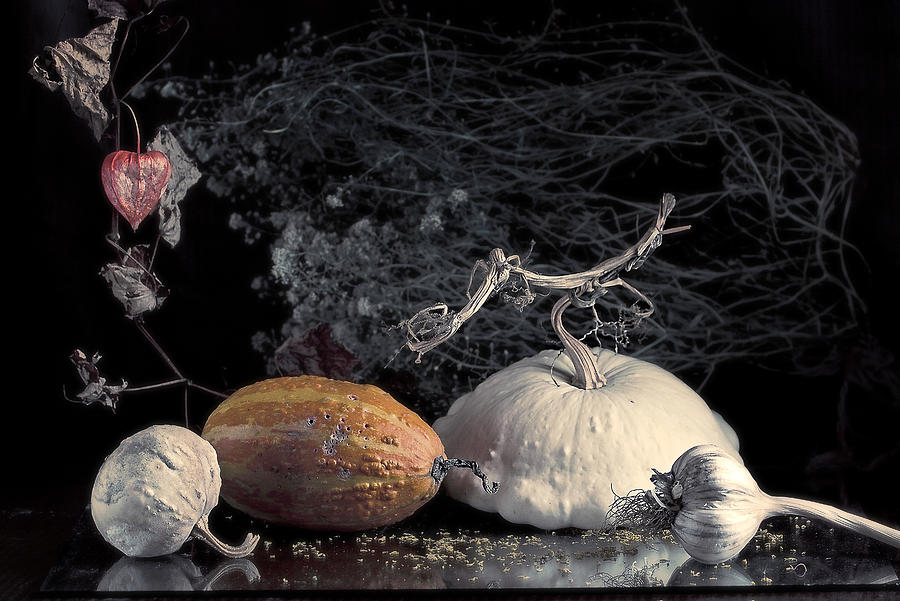 Still life with a ripe pumpkin  and physalis Photograph by Sviatlana Kandybovich