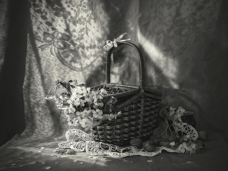 Still life with  basket Photograph by Sviatlana Kandybovich