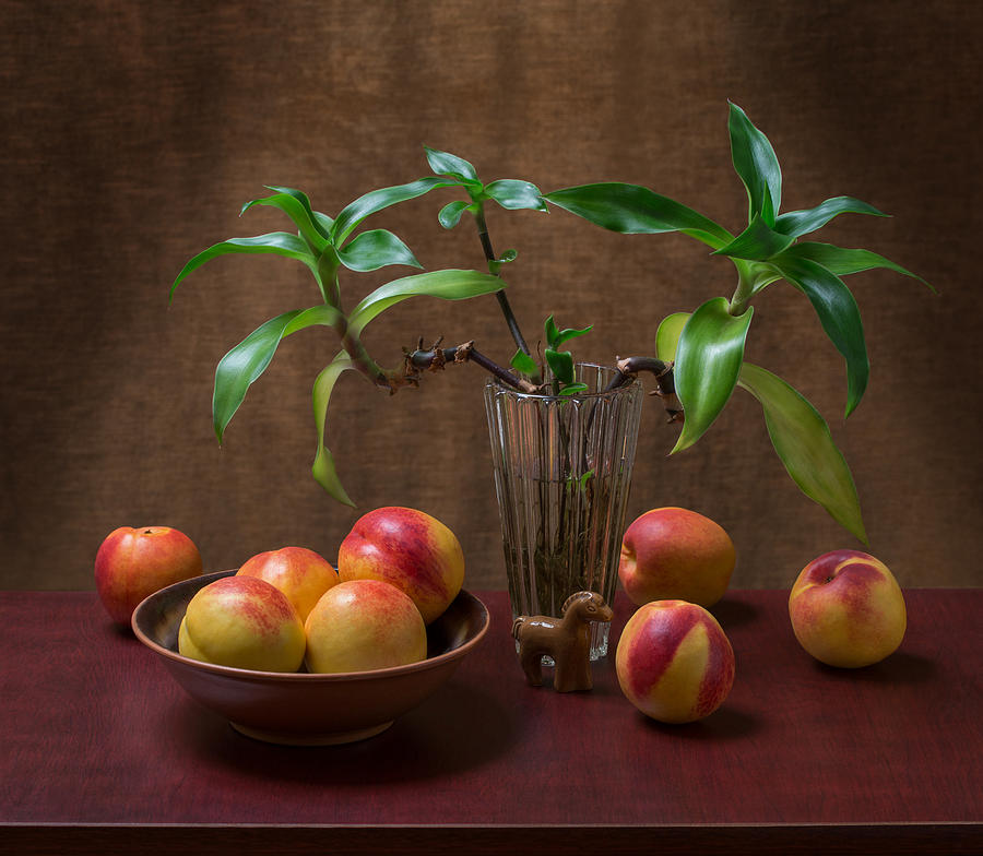 Still Life With Callisia fragrans and Nectarines Photograph by Anatoliy ...