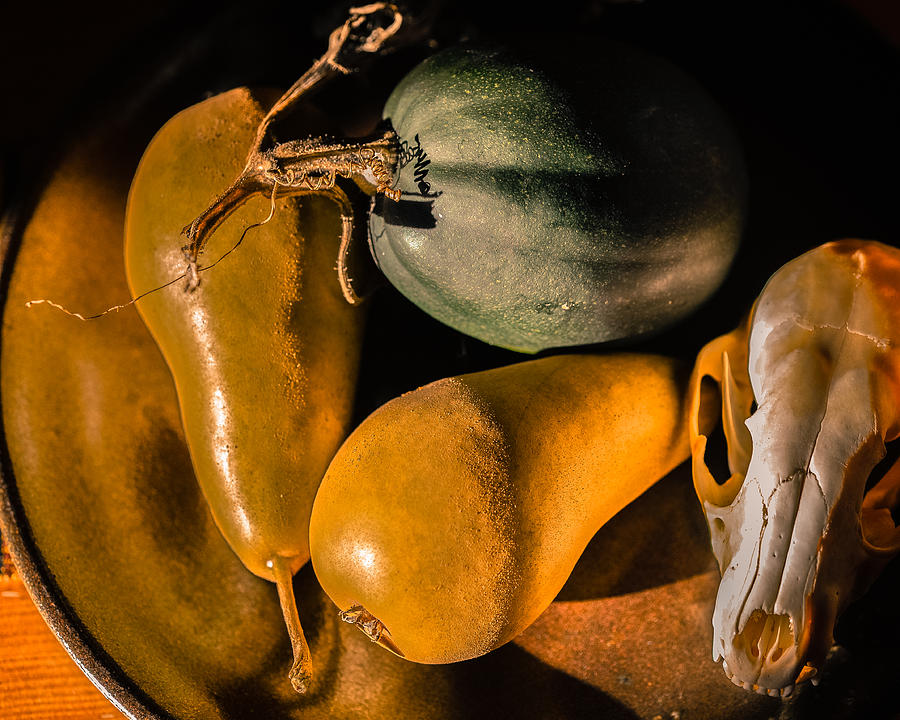 Still Life with Coyote Skull Pears Squash Photograph by Ronda Broatch