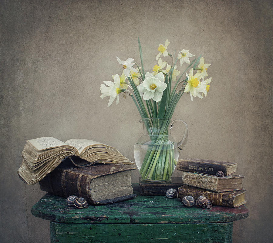 Daffodil Photograph - Still Life With Daffodils, Old Books And Snails by Dimitar Lazarov -