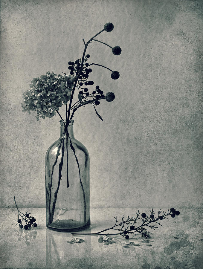 Dried Flowers Still Life White Floral 23 Graphic by shahsoft · Creative  Fabrica