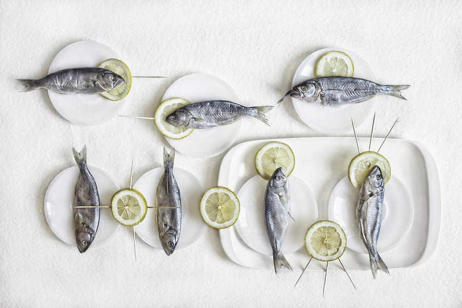 Still Life With Fish Photograph by Dimitar Lazarov -