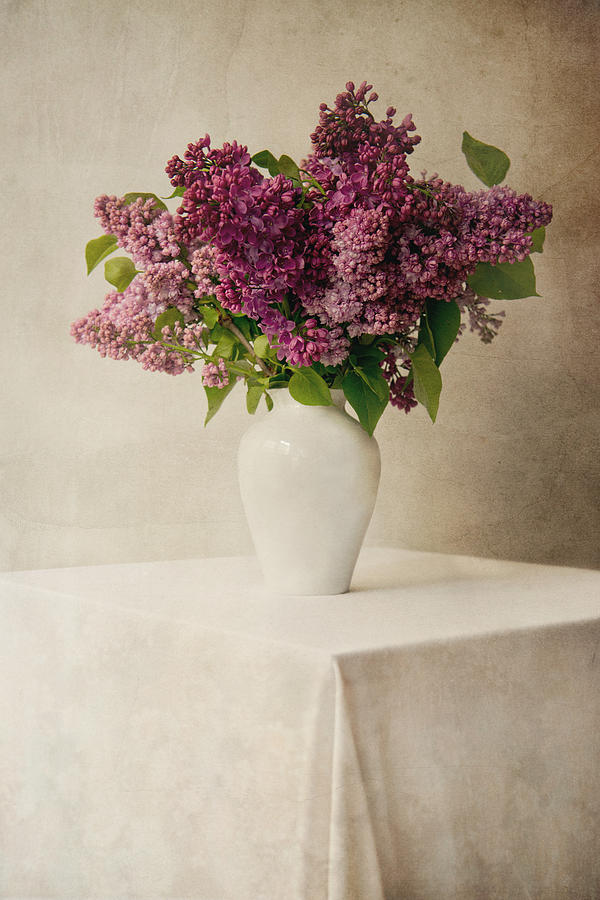 Still life with fresh lilacs Photograph by Jaroslaw Blaminsky | Fine ...