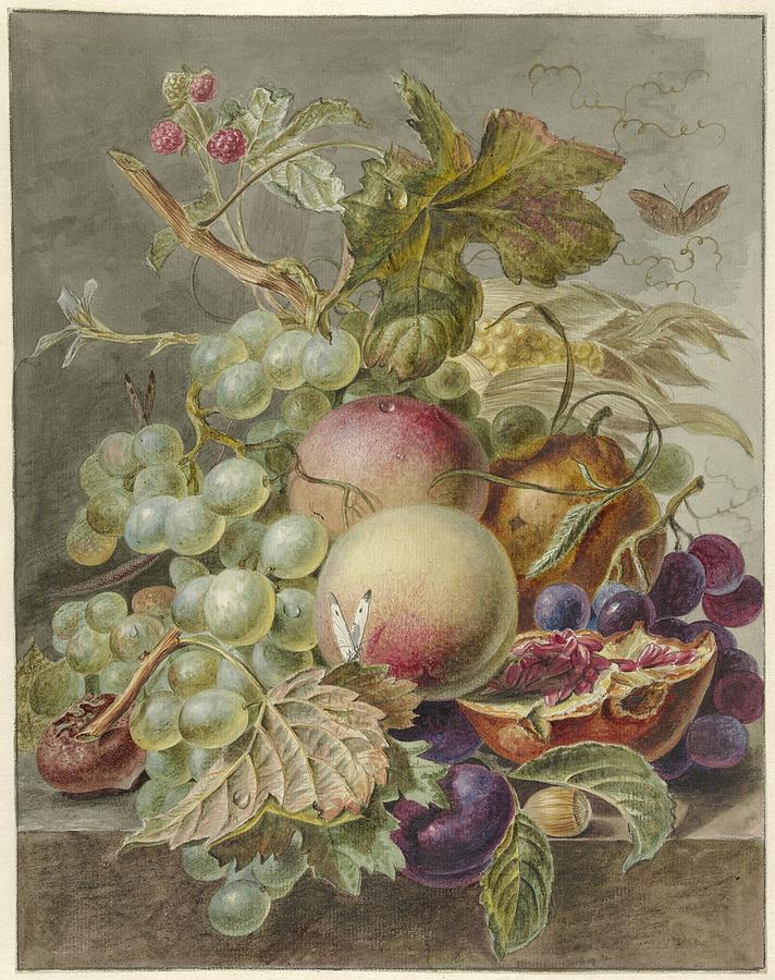 Still Life With Fruit Drawing by Jan Evert Morel