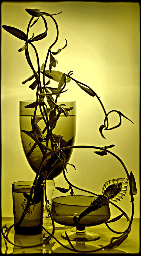 Still life with green glasses Photograph by Andrei SKY