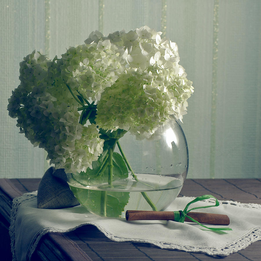 Flower Photograph - Still life with hydrangea in soft colors by Anna Aybetova