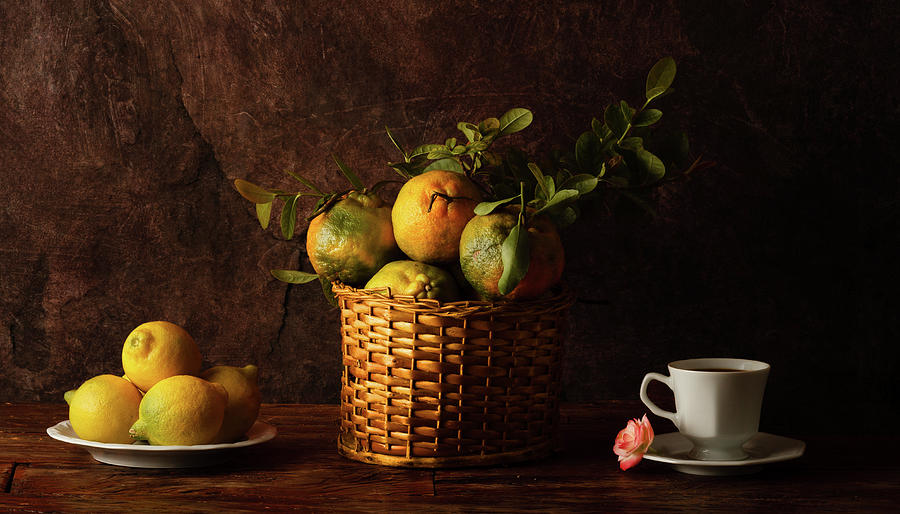 Still Life With Lemons, Oranges And A Rose Photograph by Luiz Laercio