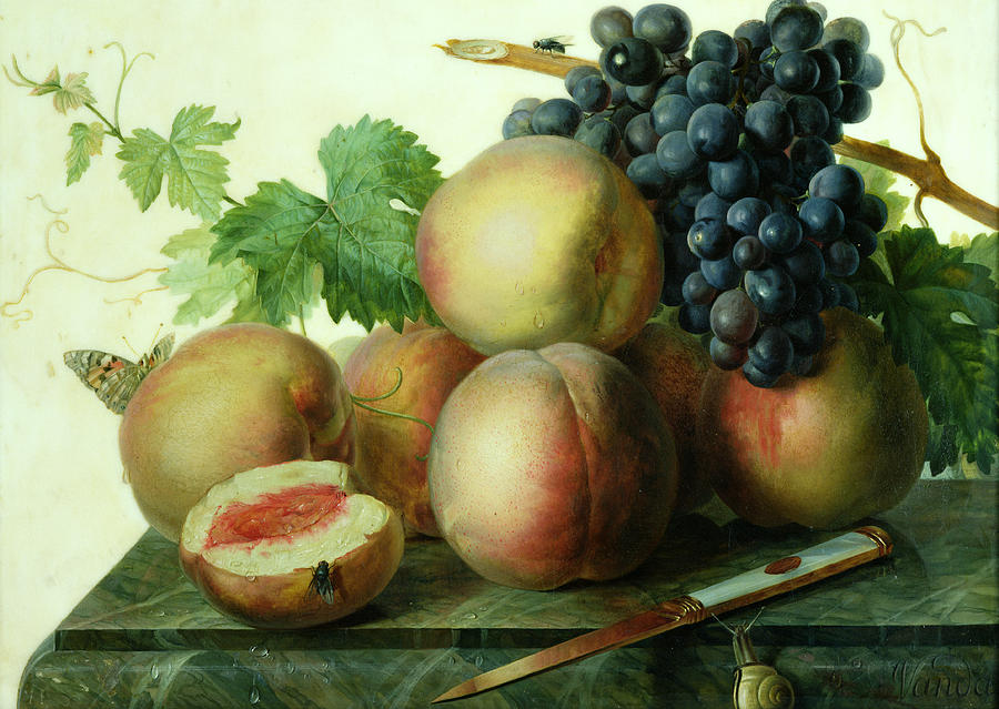 Still Life with Peaches and Grapes on Marble Painting by Jan Frans van Dael