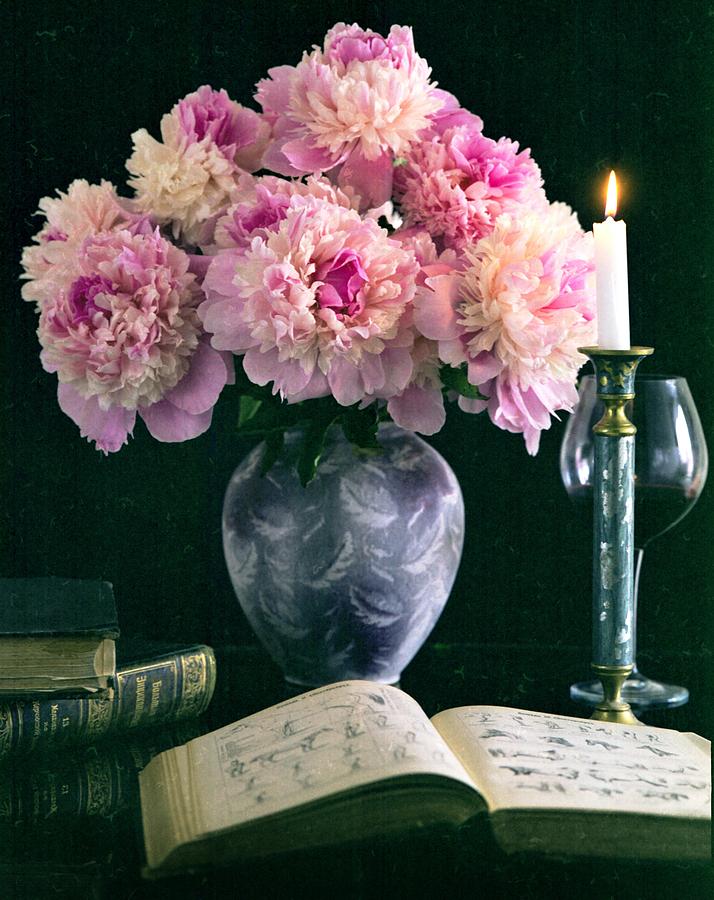 peony still life