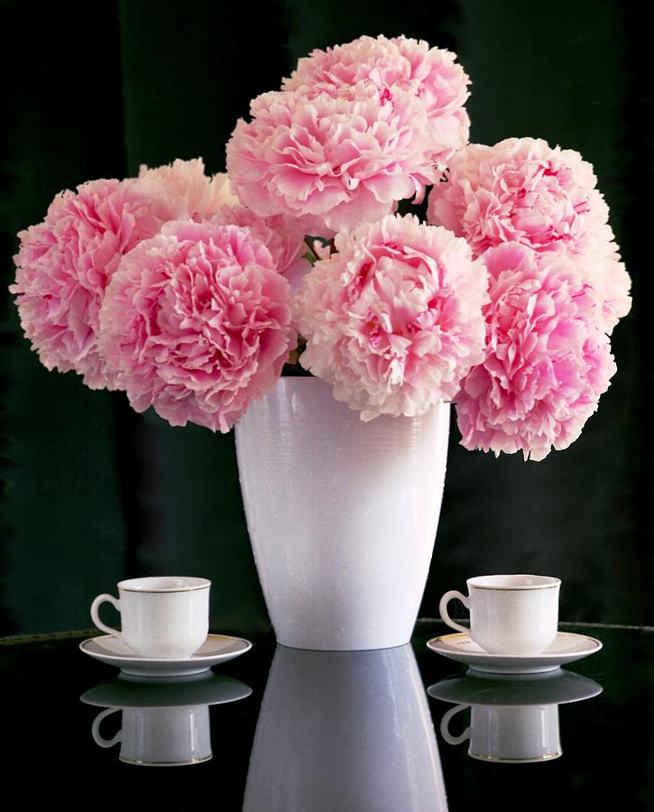 Still Life Photograph - Still life with pink peonies and coffee cups by Peonynursery Com