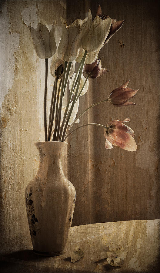 Still life with tulips Photograph by Sviatlana Kandybovich